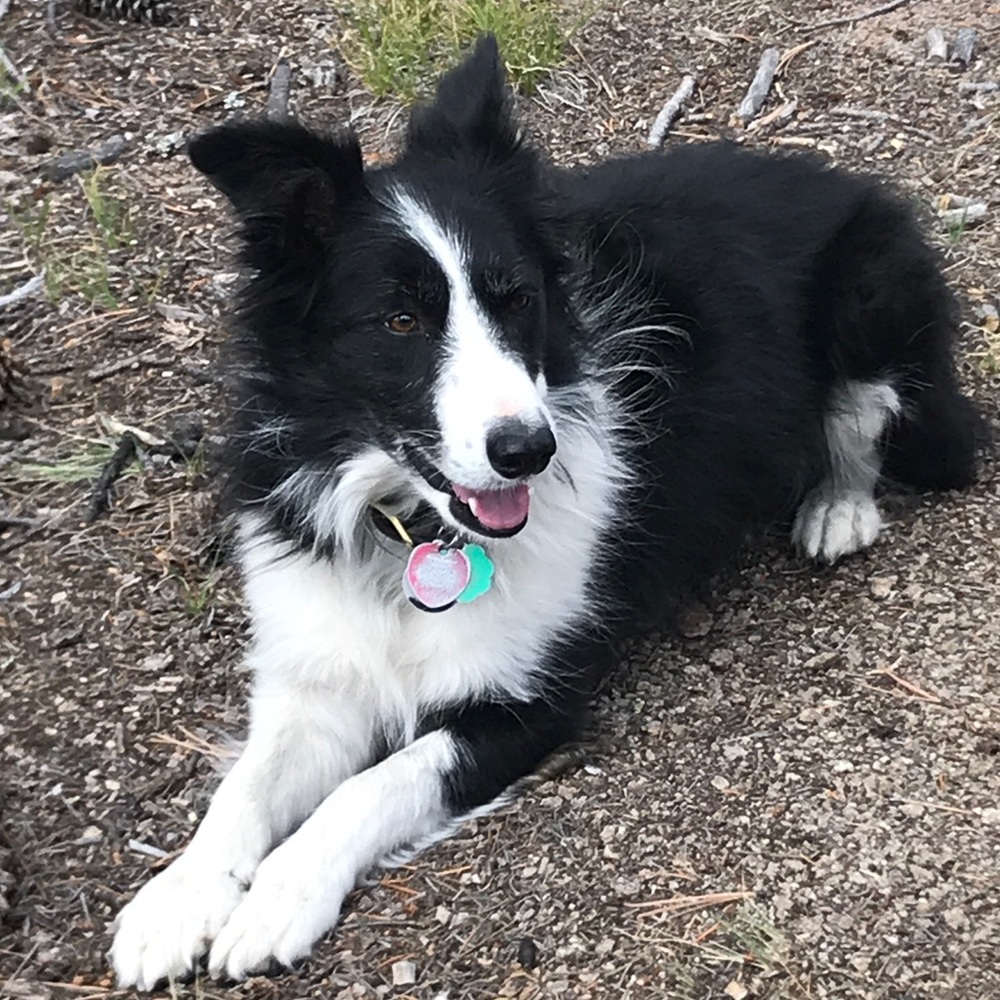 Meet your Posher, Kathy